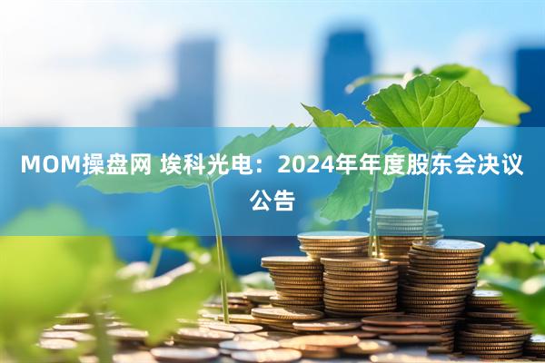 MOM操盘网 埃科光电：2024年年度股东会决议公告