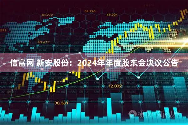 信富网 新安股份：2024年年度股东会决议公告