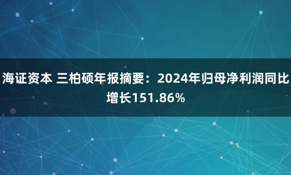 海证资本 三柏硕年报摘要：2024年归母净利润同比增长151.86%
