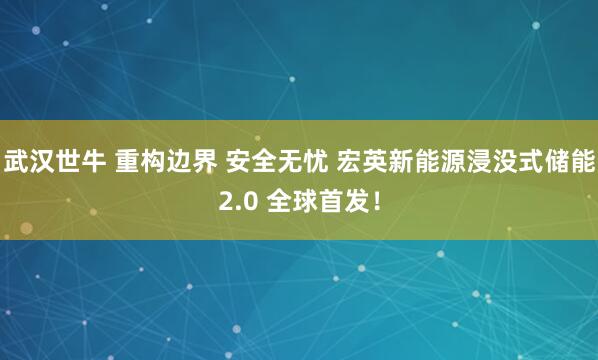 武汉世牛 重构边界 安全无忧 宏英新能源浸没式储能2.0 全球首发！