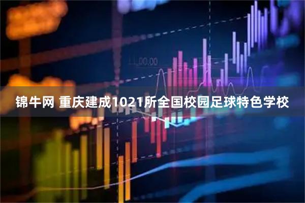 锦牛网 重庆建成1021所全国校园足球特色学校
