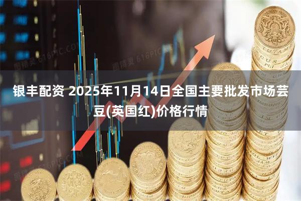 银丰配资 2025年11月14日全国主要批发市场芸豆(英国红)价格行情