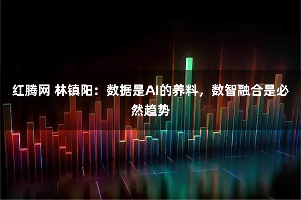 红腾网 林镇阳：数据是AI的养料，数智融合是必然趋势