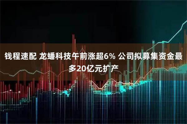 钱程速配 龙蟠科技午前涨超6% 公司拟募集资金最多20亿元扩产